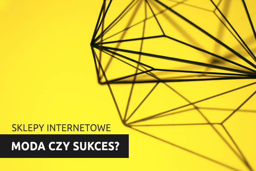 Sklepy internetowe – moda czy sukces?