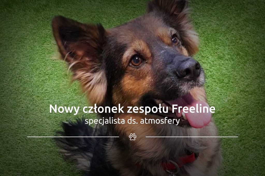 Nowy członek zespołu Freeline – specjalista ds. atmosfery